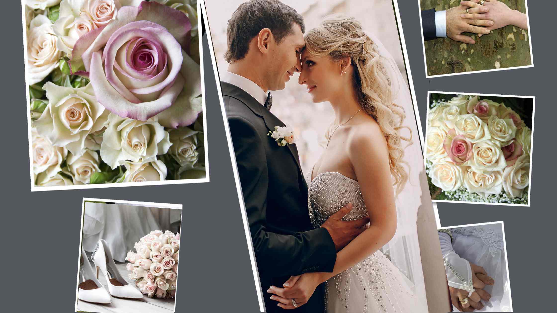 Houston Wedding Planning, Houston Wedding Photographers, Your Complete Wedding Planning Resource